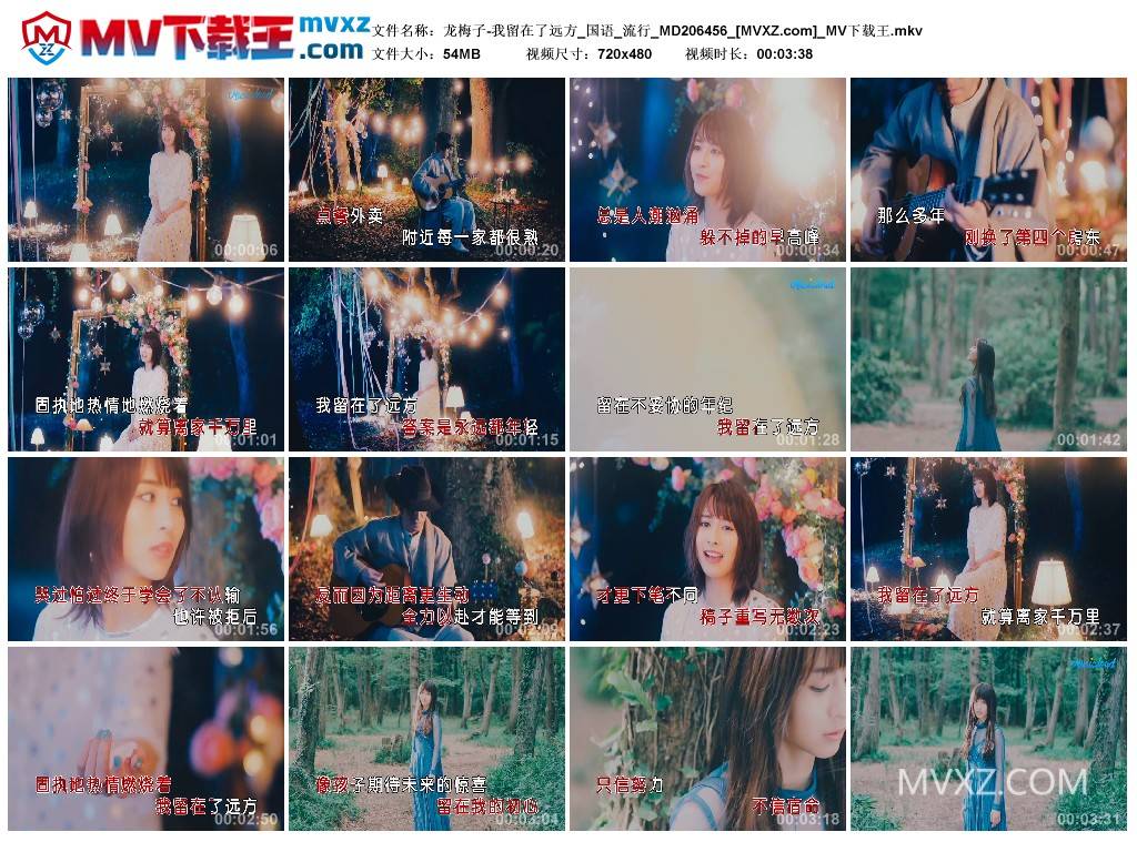 龙梅子-我留在了远方_国语_流行_MD206456